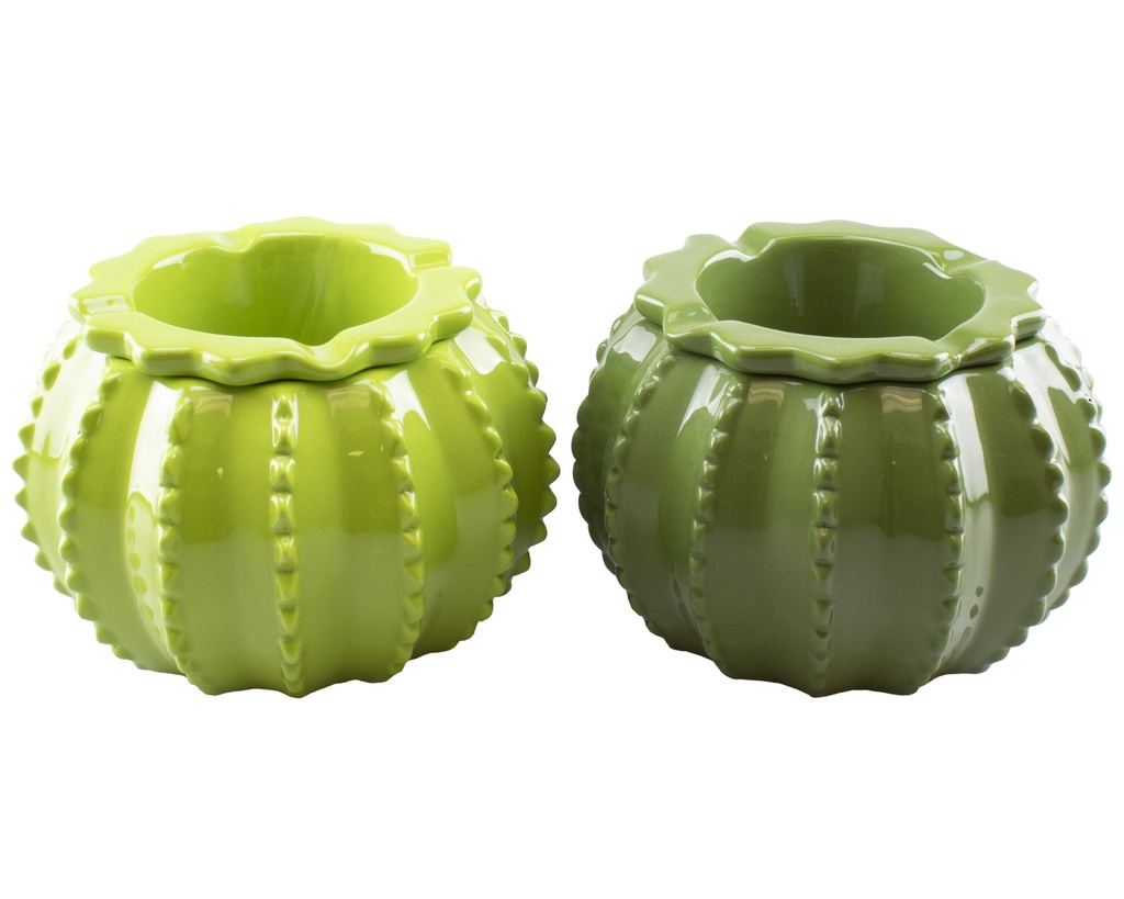Ashtray Ceramic Round Cactus Green