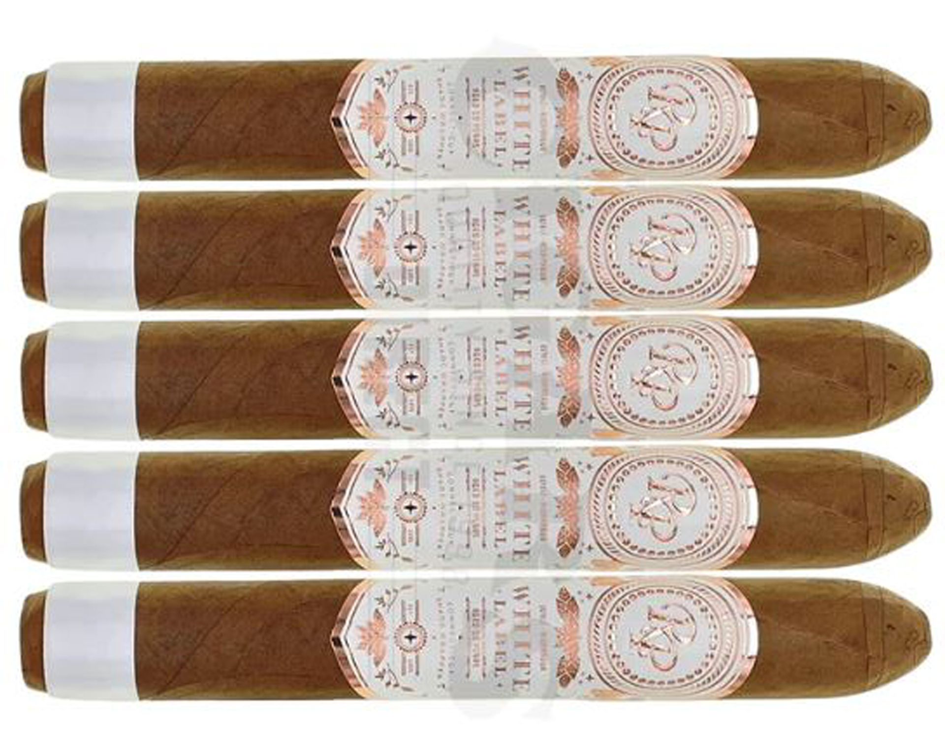 [CRPWL100] Humidor Rocky Patel White Label Ltd Edition