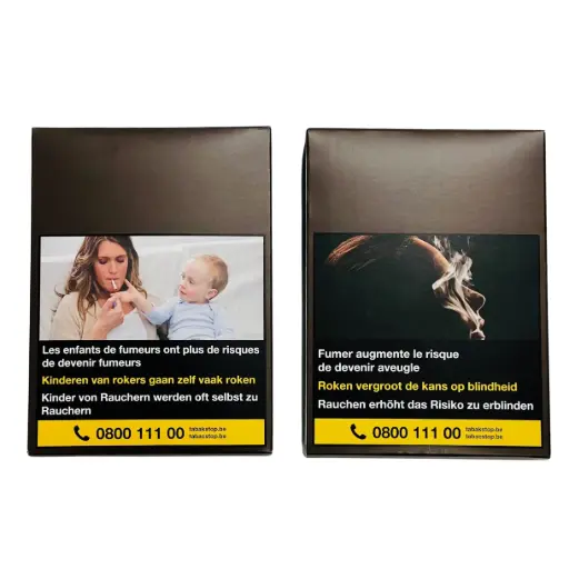 [POU004] Box CHW Cigars Pack 750 pieces